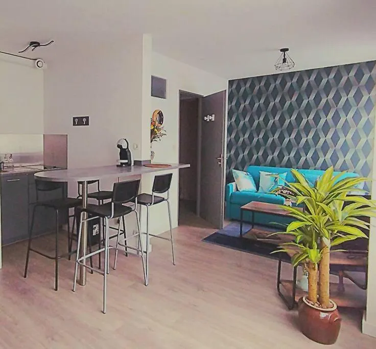 Chazi And Cosy Apartment Toulouse 0*,